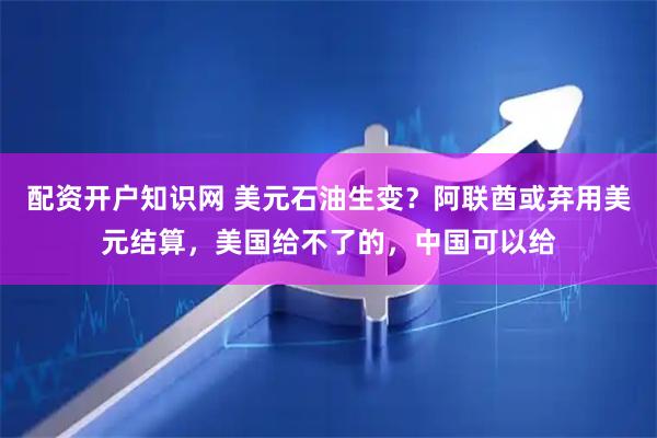 配资开户知识网 美元石油生变？阿联酋或弃用美元结算，美国给不了的，中国可以给